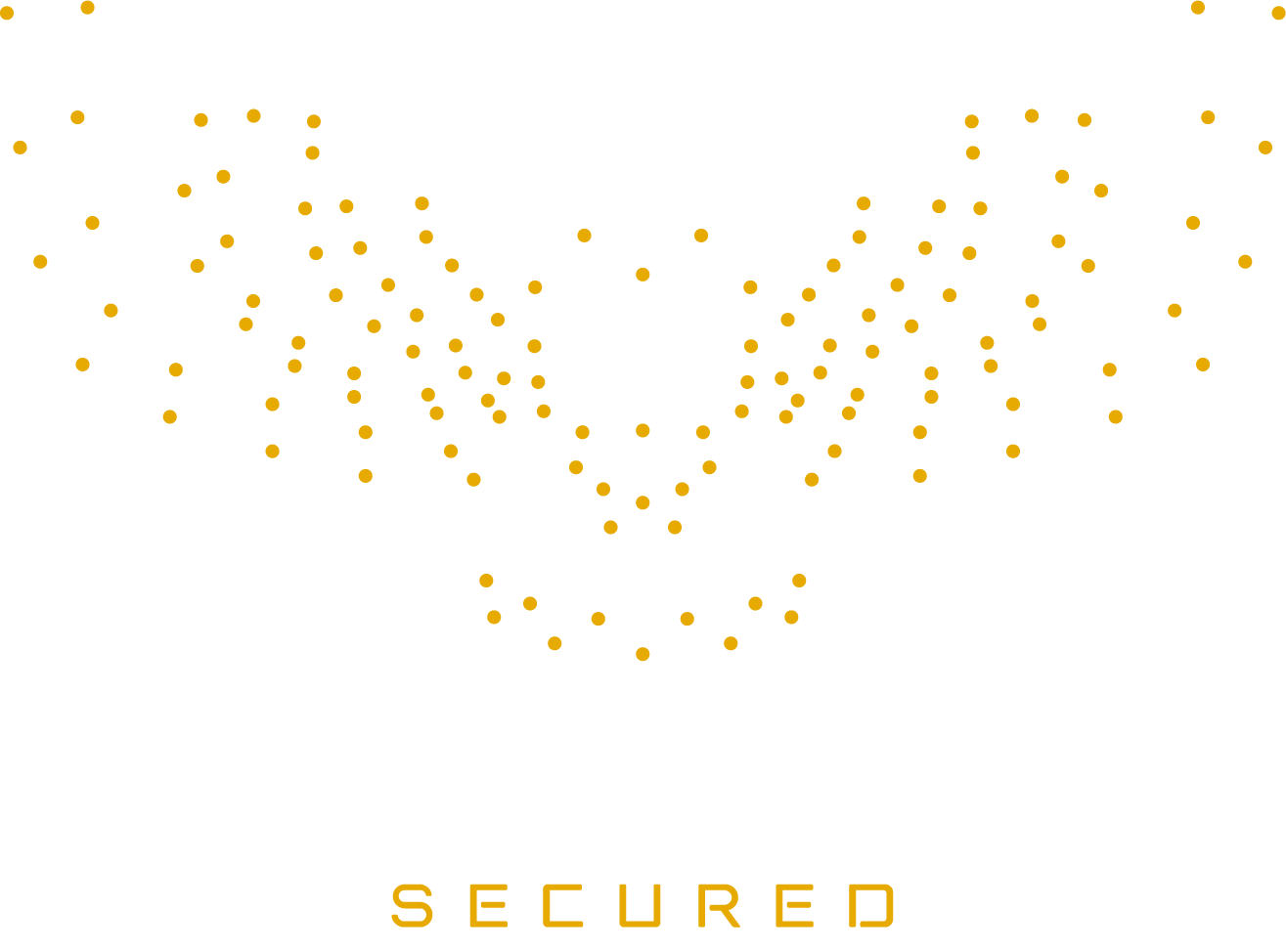 Meet the Founders of TIDAL Security Solutions, Ltd.: Wauneekia and Zachariah Drake Post Thumbnail