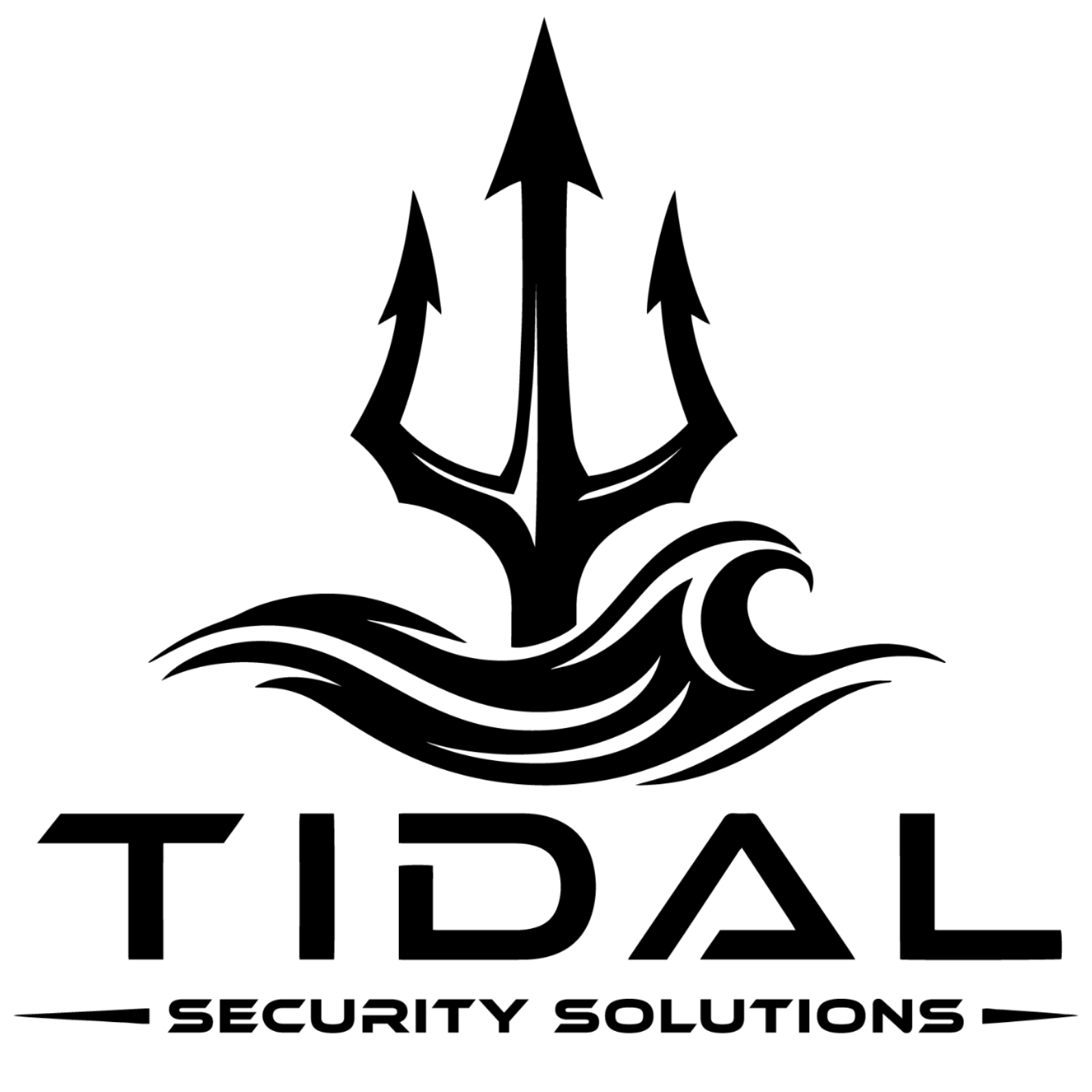 TIDAL Security Solutions